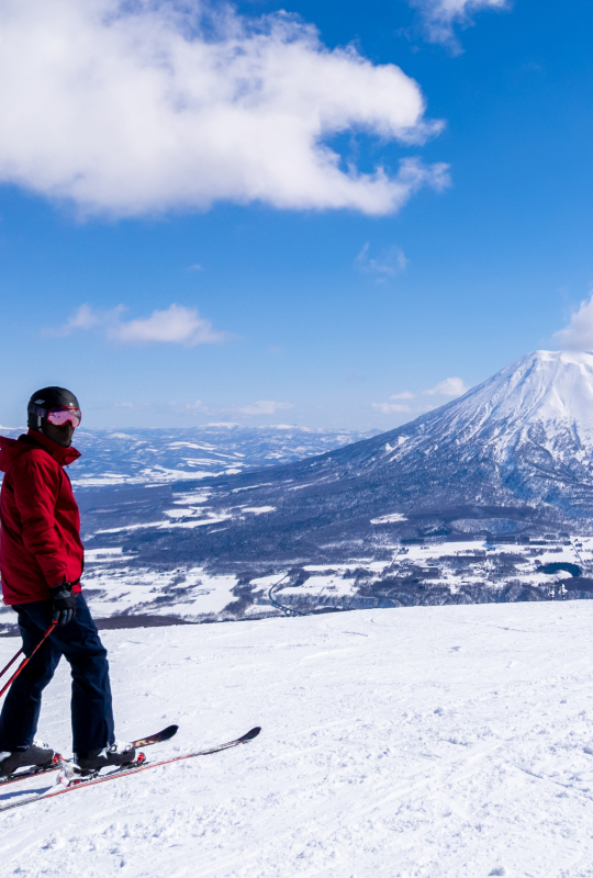 Feature Box 540x800 Winter Work Japan