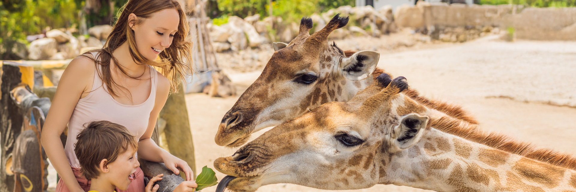 D Program Video Au Pair Australia 1920 X640