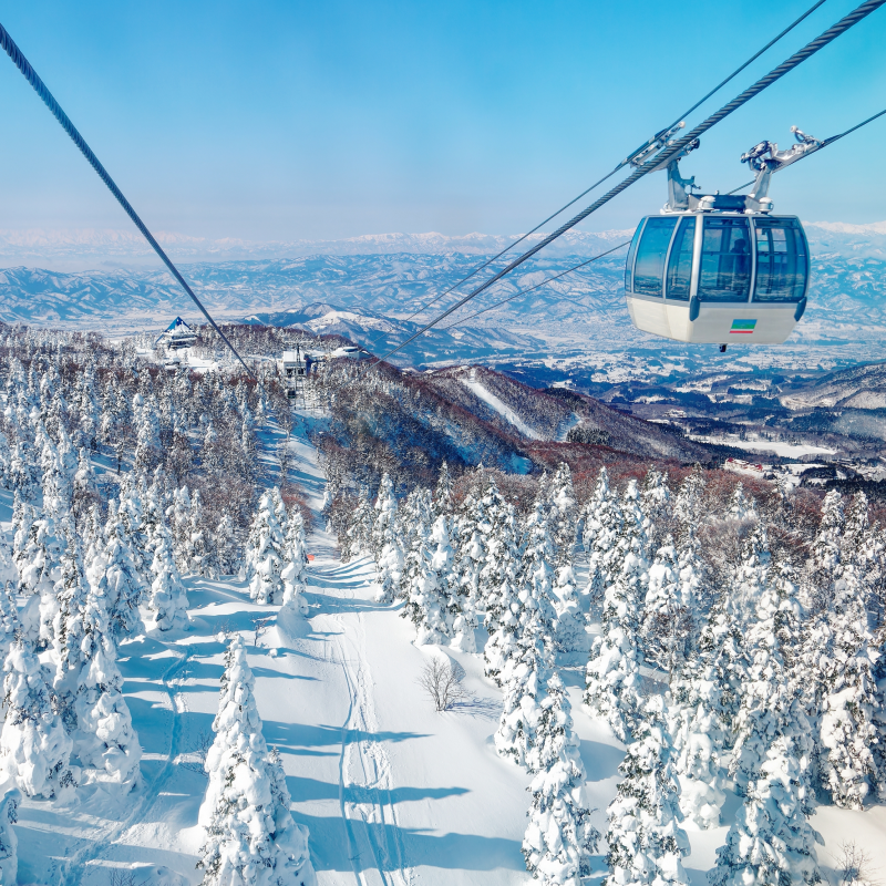 M Program Video Winter Work Japan 800x800