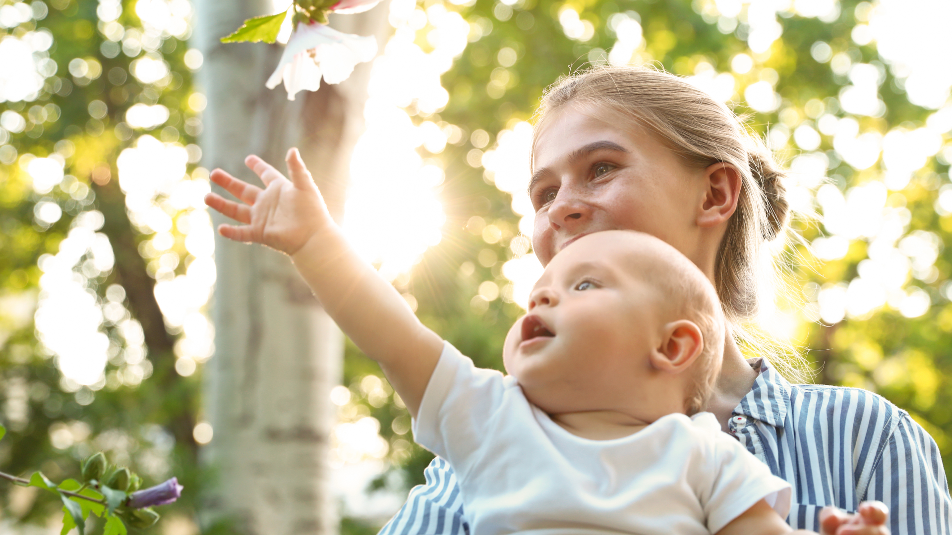 D Hero Banner 1920x1080 Extra2