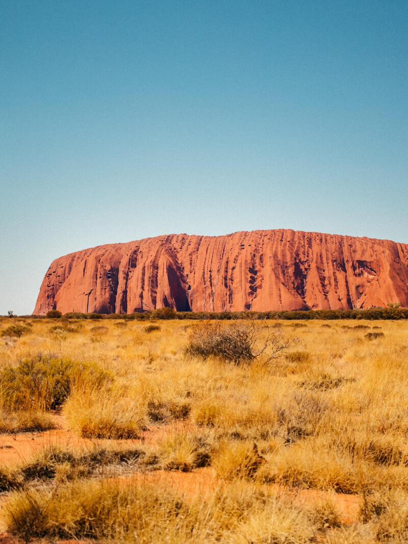 Gallery Program 800x1066 2