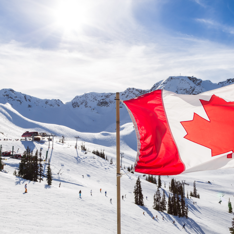 M Program Banner Winter Work Canada 800x800