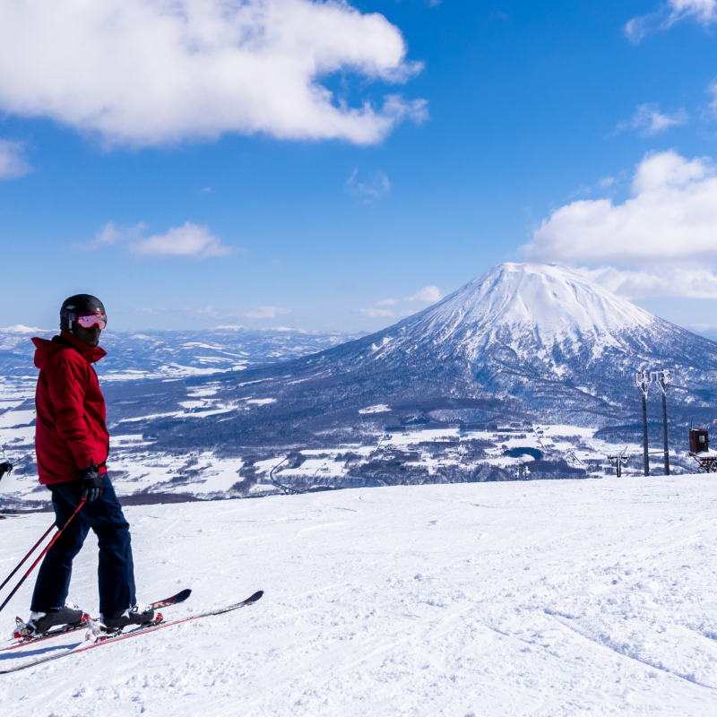 M Program Banner Winter Work Japan 800x800