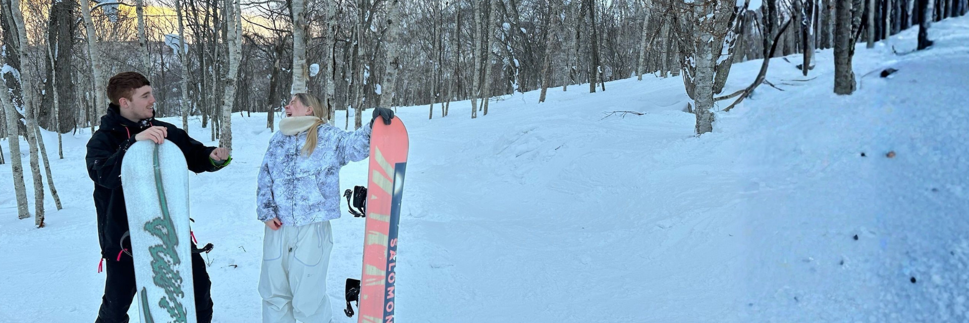 Program banners website 14