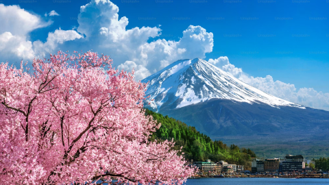 Team 480x270 Destination Japan