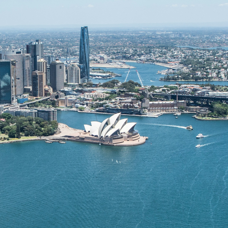 Timeline 800x800 2005